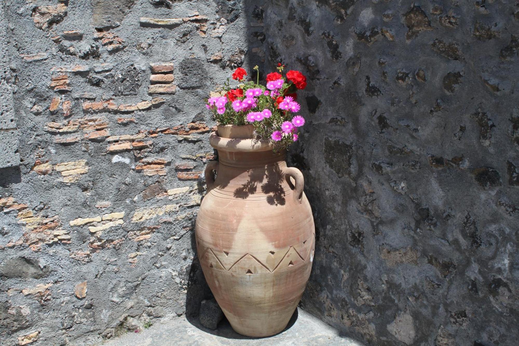 Bosco Ciancio Pension Biancavilla Buitenkant foto