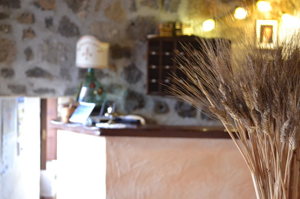 Bosco Ciancio Pension Biancavilla Buitenkant foto