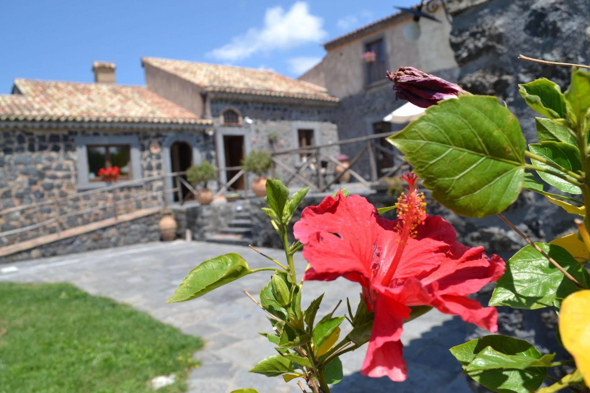 Bosco Ciancio Pension Biancavilla Buitenkant foto